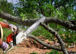 Best Lot and Land Clearing  in Broad Brook, CT